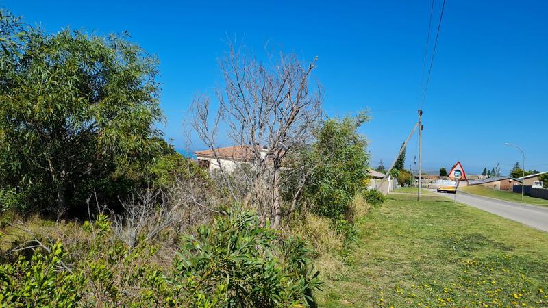 0 Bedroom Property for Sale in Dana Bay Western Cape